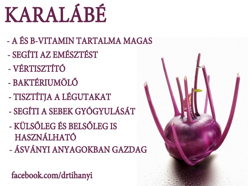 Karalábé