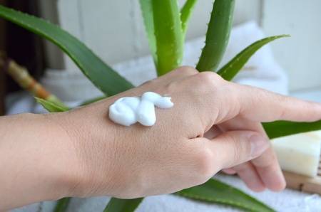 Miért nevezték az egyiptomiak az aloe verát a „halhatatlanság növényének”?