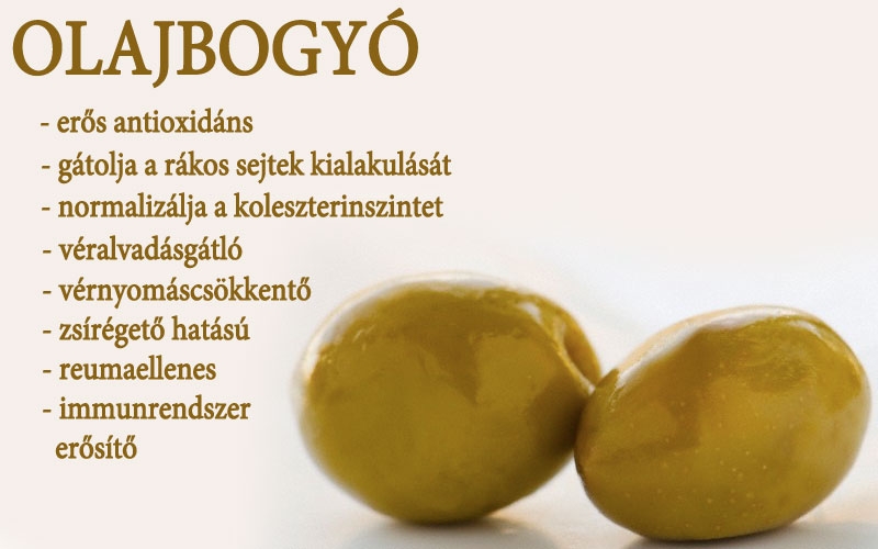Olajbogyó
