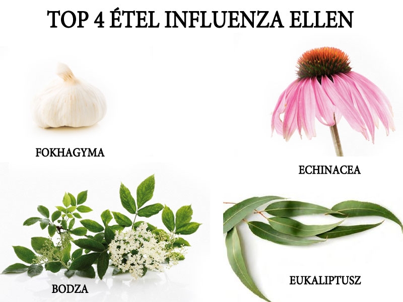 TOP 4 étel influenza ellen