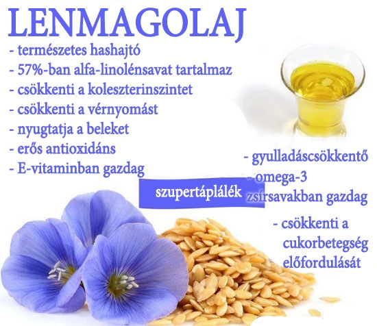 Lenmagolaj