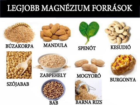 Éhezés és elhízás, leptin és magnézium