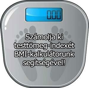 Testtömeg index