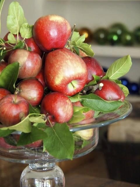 A tojástól az almáig