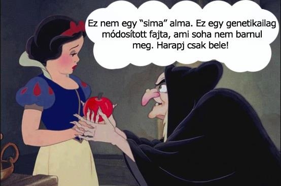 A transzgenetikus növények (GMO) világa