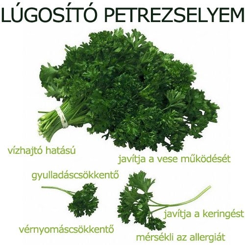 Lúgosító petrezselyem
