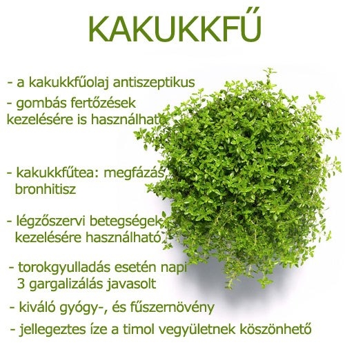 Kakukkfű