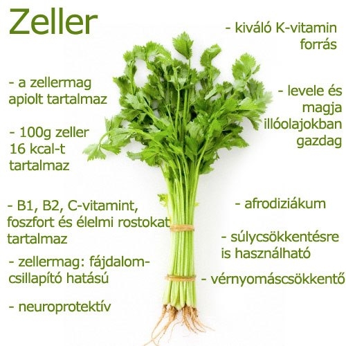 Zeller