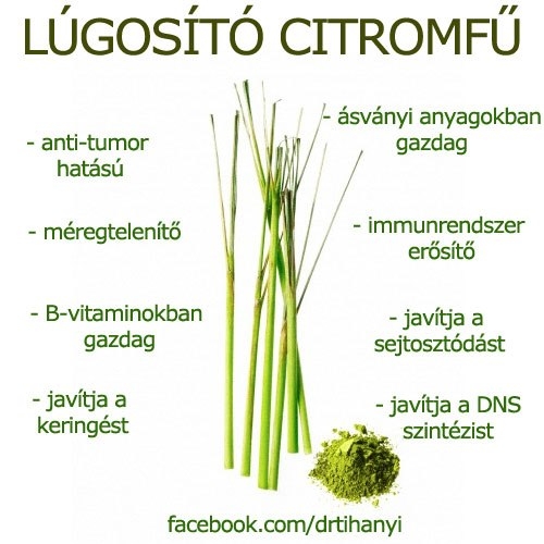 Lúgosító citromfű
