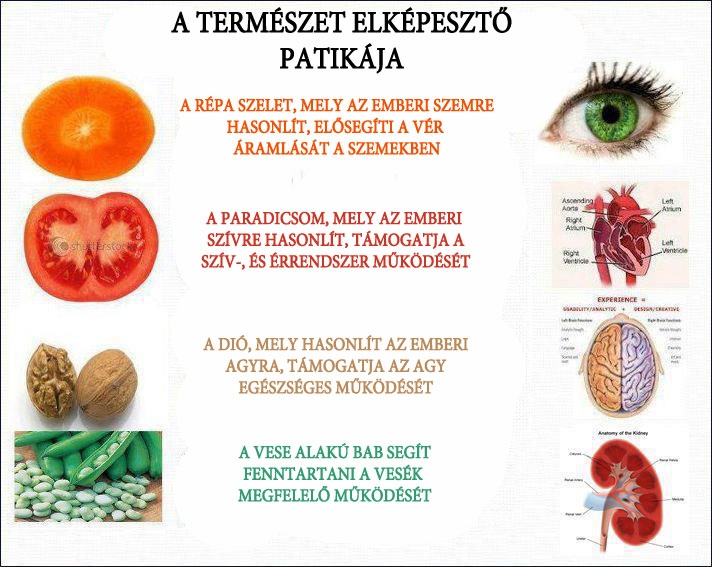 A természet elképesztő patikája