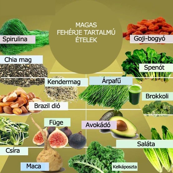 Magas fehérjetartalmú ételek (nem húsok)