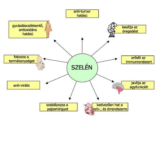 Szelén
