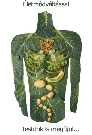 Életmódváltás a rák után