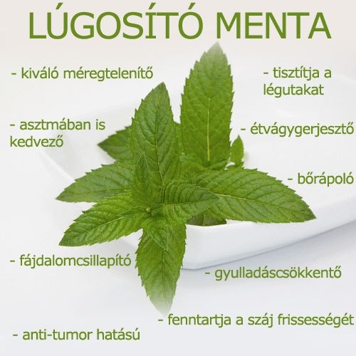 Lúgosító menta