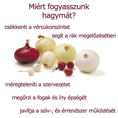 Miért fogyasszunk hagymát?