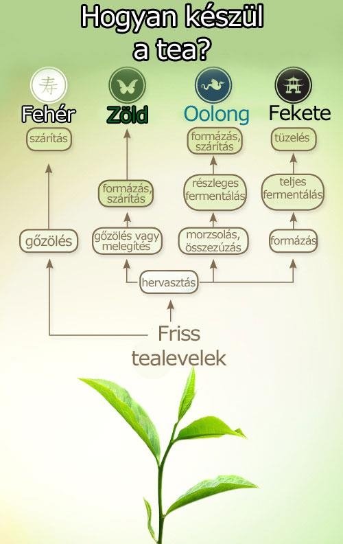 Hogyan készül a tea?
