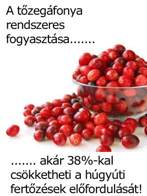 Tőzegáfonya