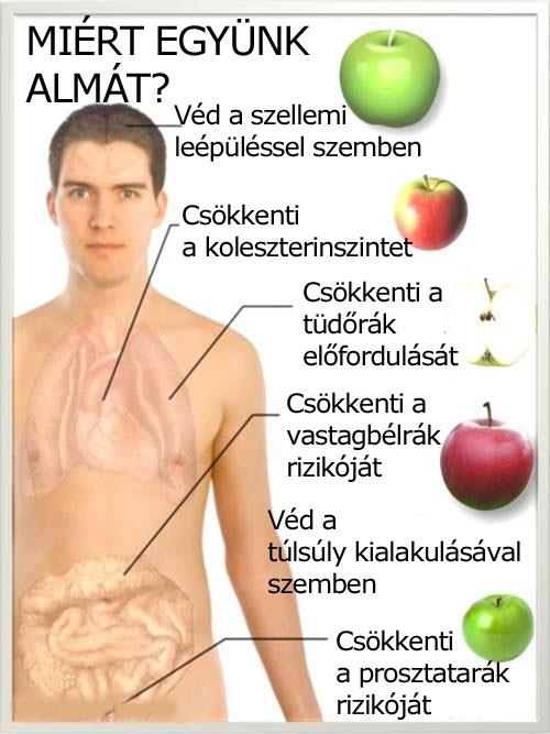 Miért együnk almát?