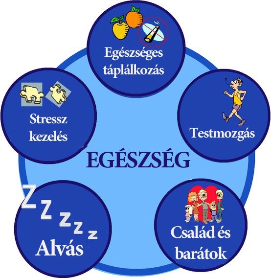 Egészség