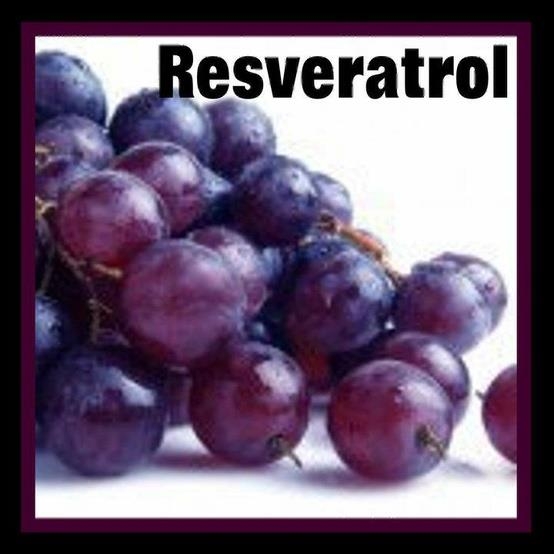 Resveratrol