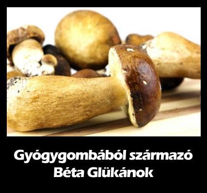 Gyógygombából származó béta-glükánok