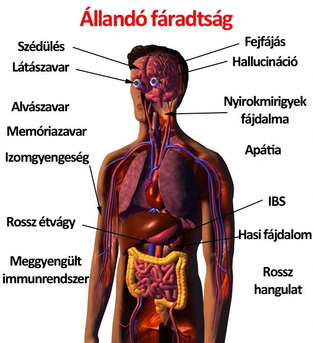 Állandó fáradtság