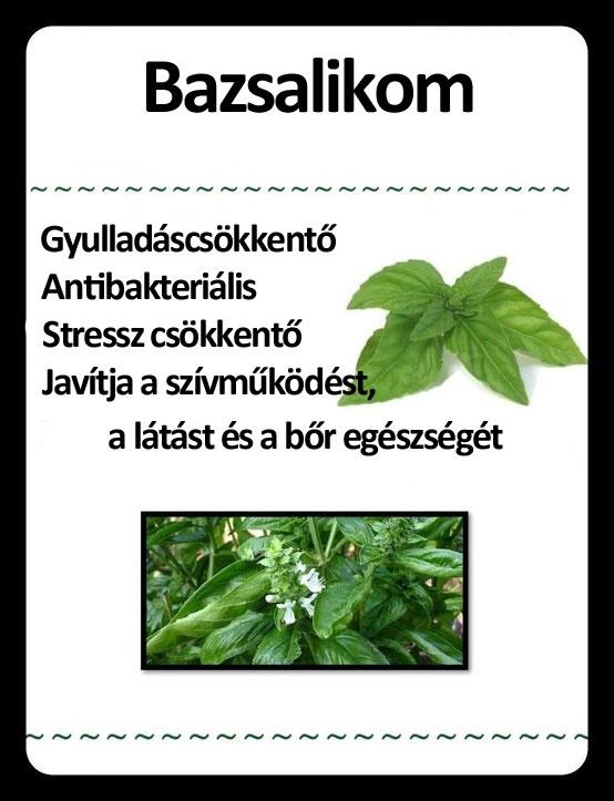 Bazsalikom