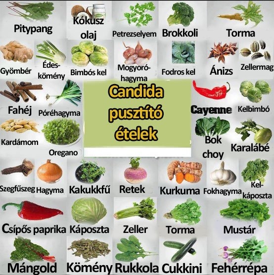 Candida pusztító ételek