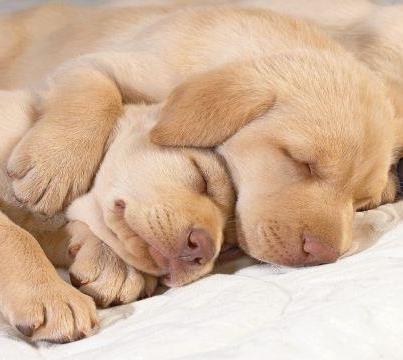 Mi történik, amikor alszunk