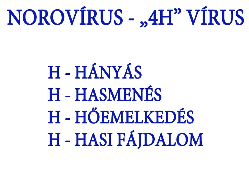 Norovírus - "4H" vírus
