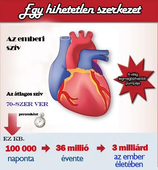 Egy hihetetlen szerkezet