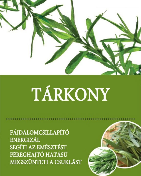Tárkony