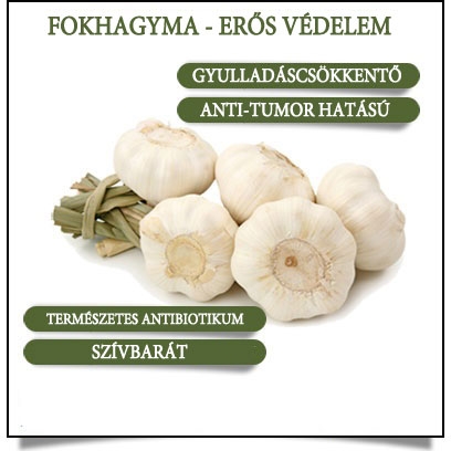 Fokhagyma - természetes védelem