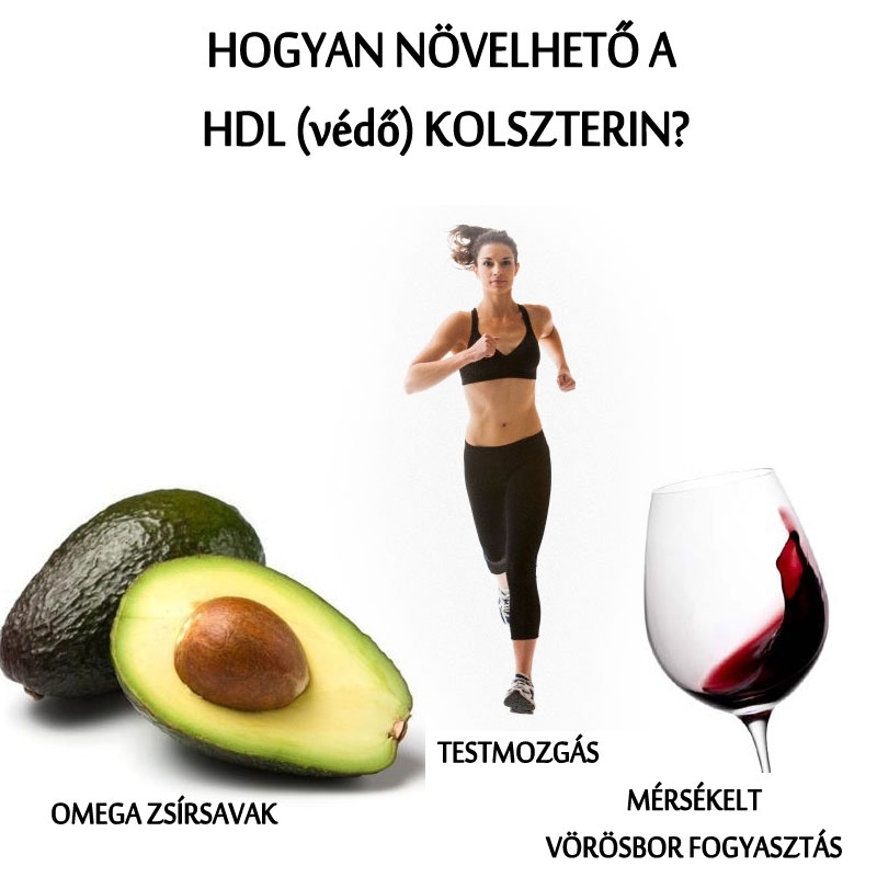 Hogyan növelhető a HDL (védő) koleszterin?