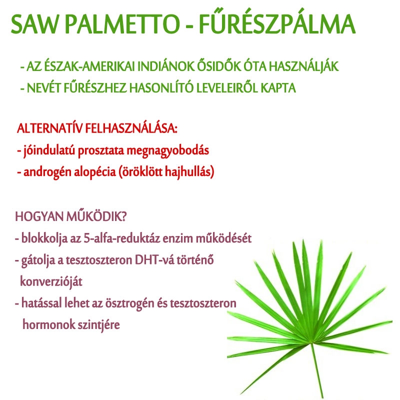 Saw Palmetto, jóindulatú prosztata megnagyobbodás, kopaszodás