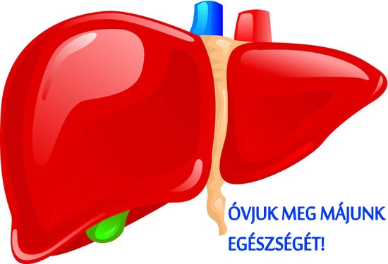 Óvjuk meg májunk egészségét!