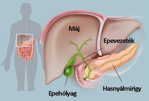 Epehólyag eltávolítás
