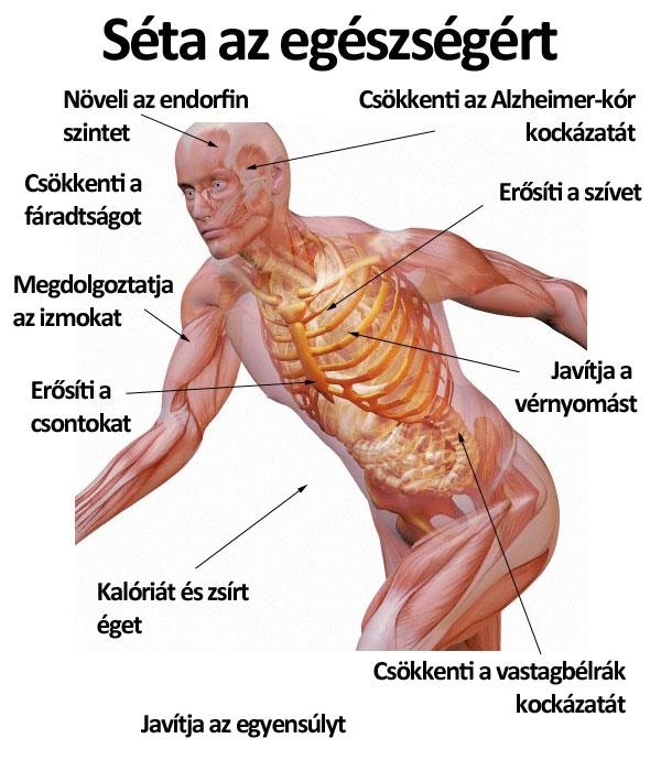 Séta az egészségért