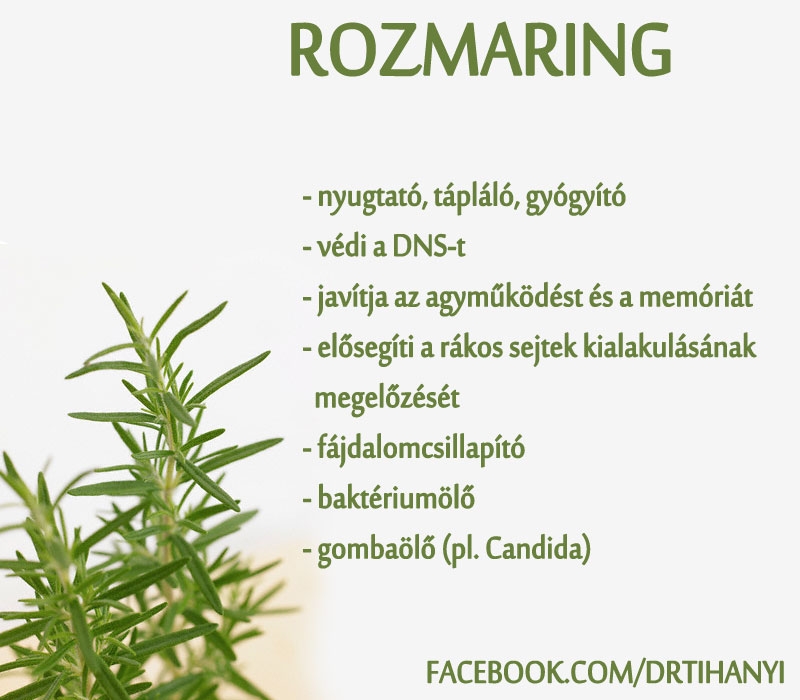 Rozmaring