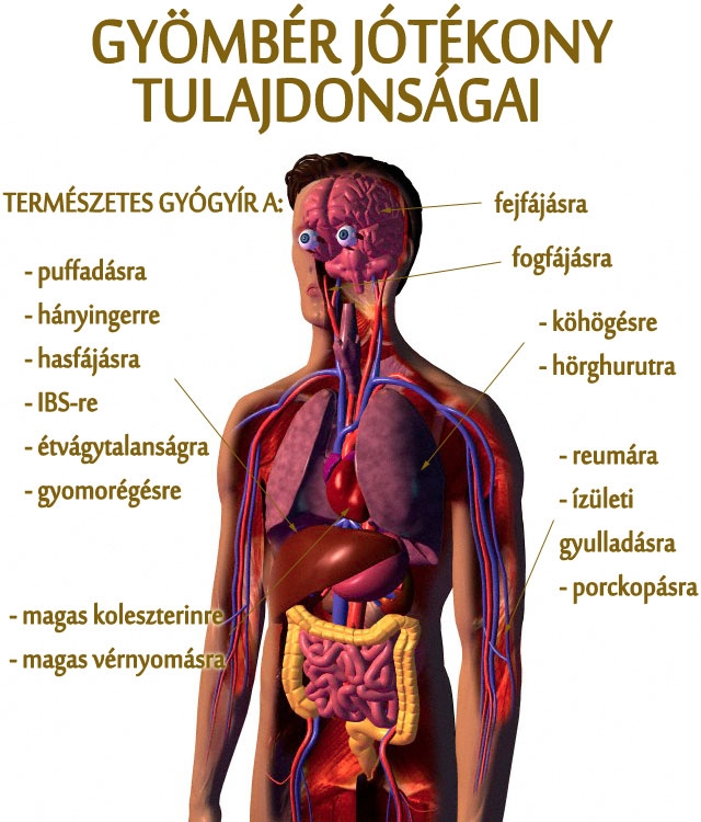 Gyömbér: csodaszer prosztatarák esetén?