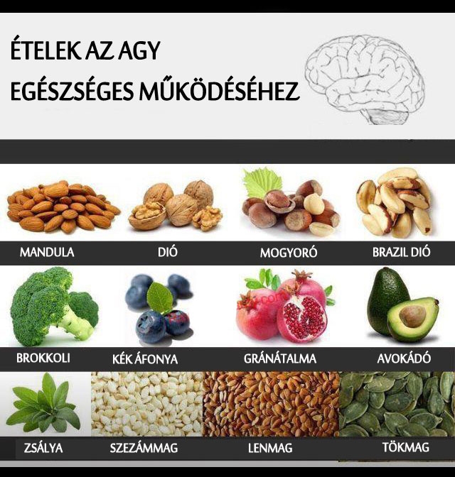 Egészséges ételek az agy működéséhez