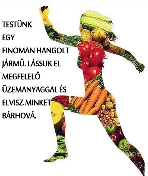 Testünk