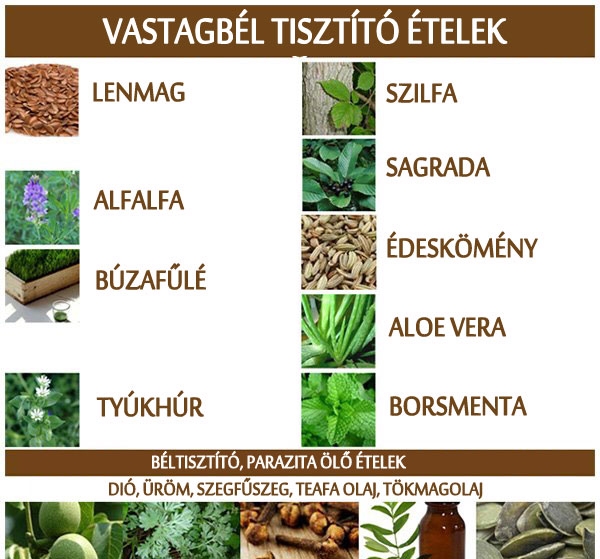 Vastagbél tisztító ételek