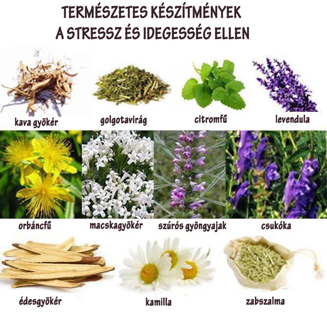 Természetes nyugtatók