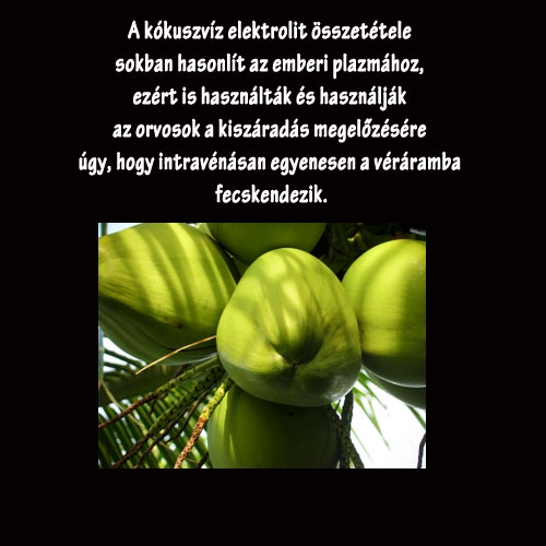 Kókusszal a kiváló egészségért