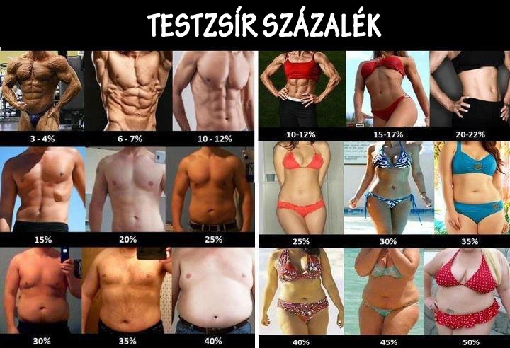 Testzsír százalék