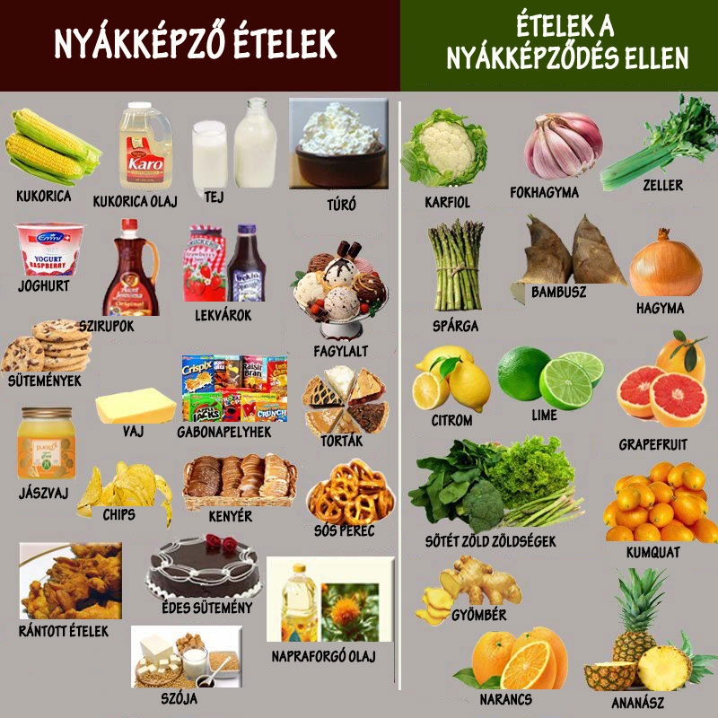 Nyákképző ételek