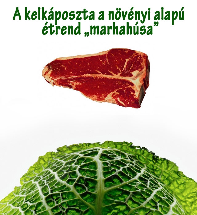 A kelkáposzta a növényi alapú étrend „marhahúsa”