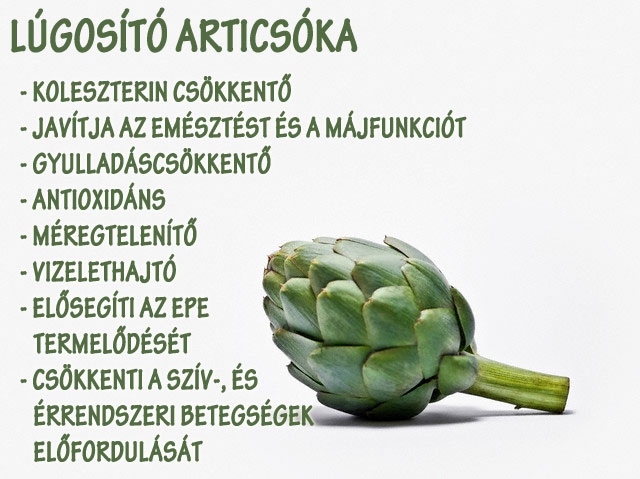 Lúgosító articsóka