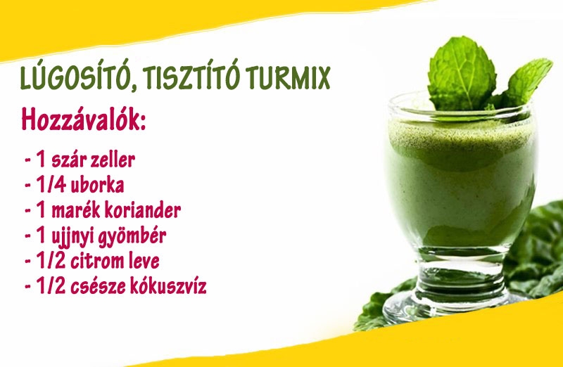 Lúgosító, tisztító turmix